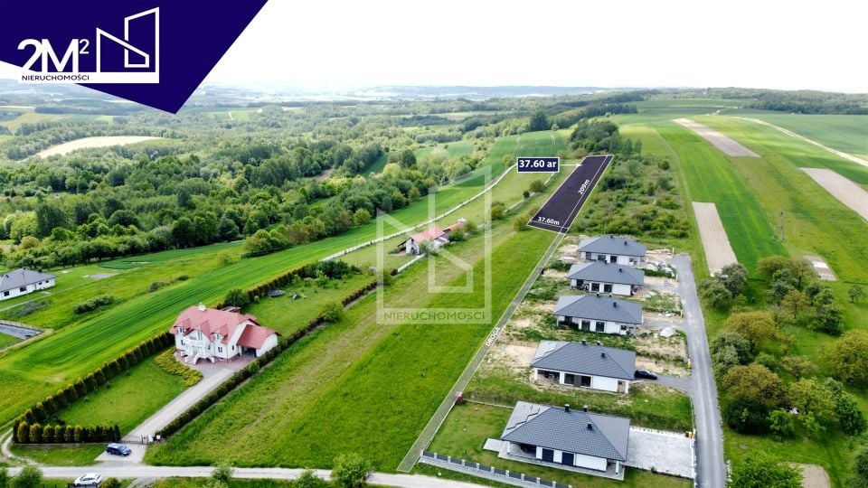 Działka Trzciana