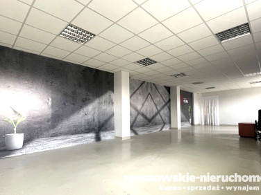 Lokal Rzeszów wynajem