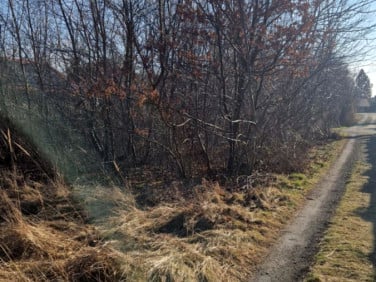 Działka Rzeszów