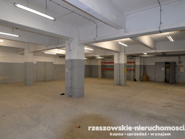 Lokal Rzeszów