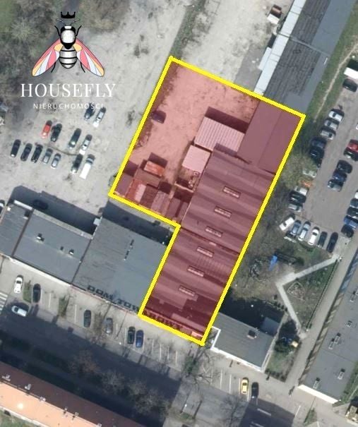 Lokal Głogów