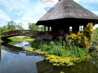 Dom wolnostojący sprzedaż