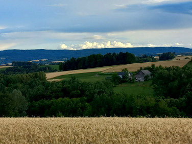 Działka Brzeziny