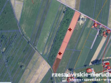 Działka Bachórzec