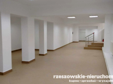 Lokal Rzeszów