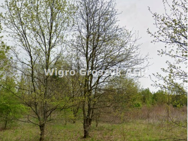 Pusta działka Secymin Polski