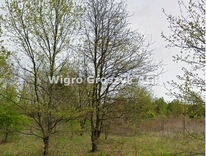 Pusta działka Secymin Polski