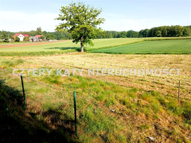 Działka budowlana Golasowice
