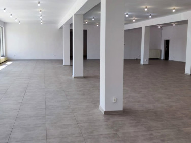 Lokal Biała Podlaska