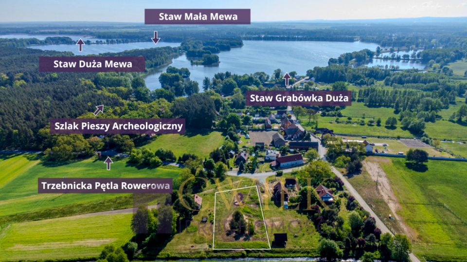 Działka przy lesie