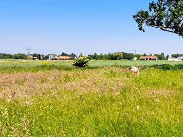 Działka budowlana Błonie