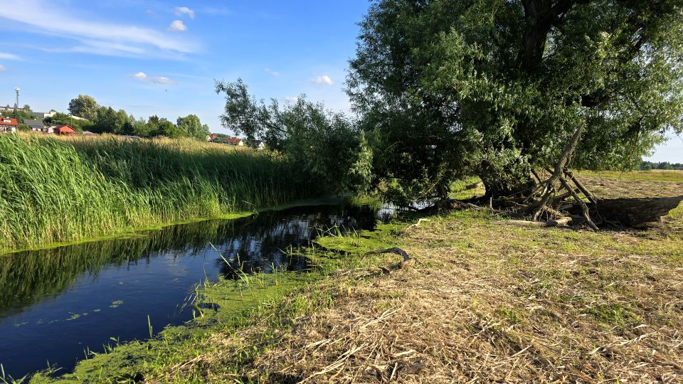 Działka Iława
