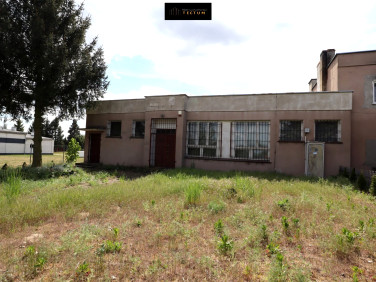 Dom Gościejewo sprzedaż