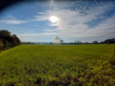 Działka Gościeradz