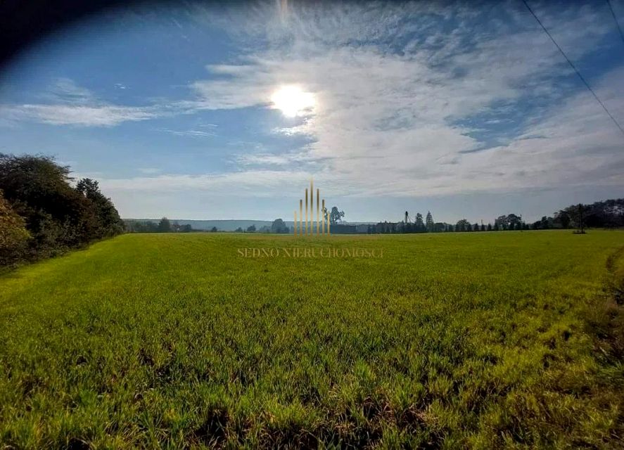 Działka Gościeradz