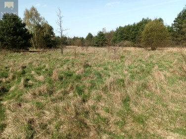Działka Jeziora