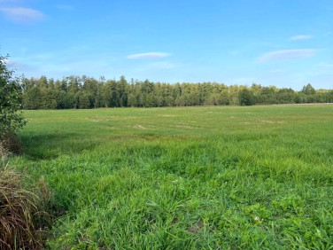Działka rolna Nieporęt sprzedam