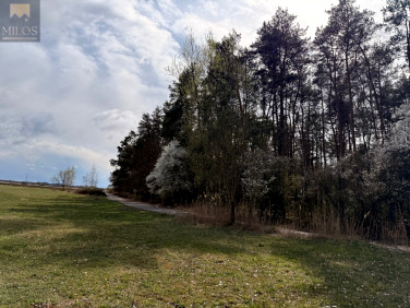 Działka Całowanie
