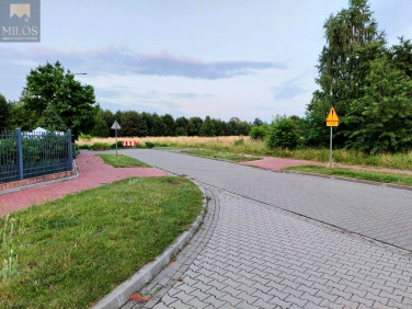 Działka Kałuszyn