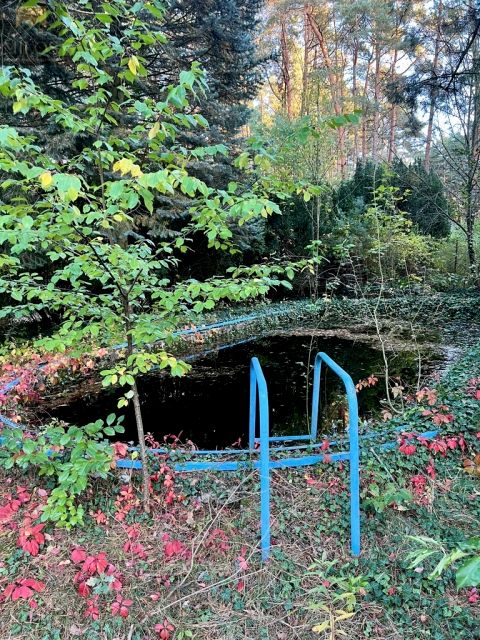 Działka Topolina