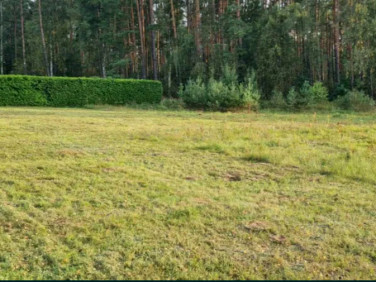 Działka budowlana Kłączno