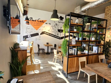 Lokal Wrocław