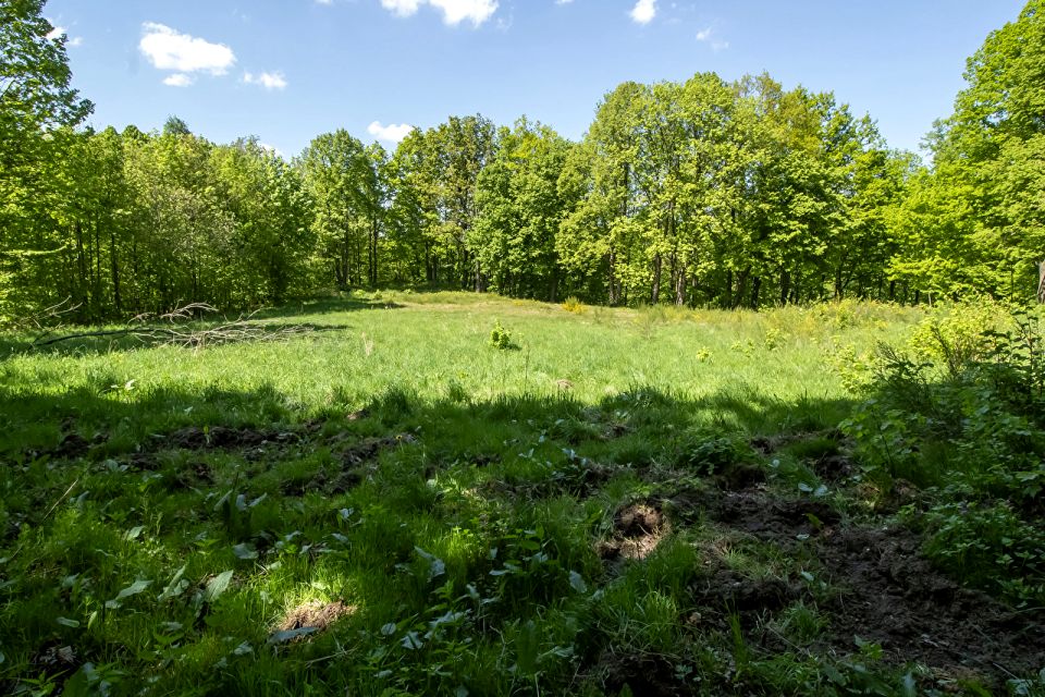 Działka inna Jarnołtówek