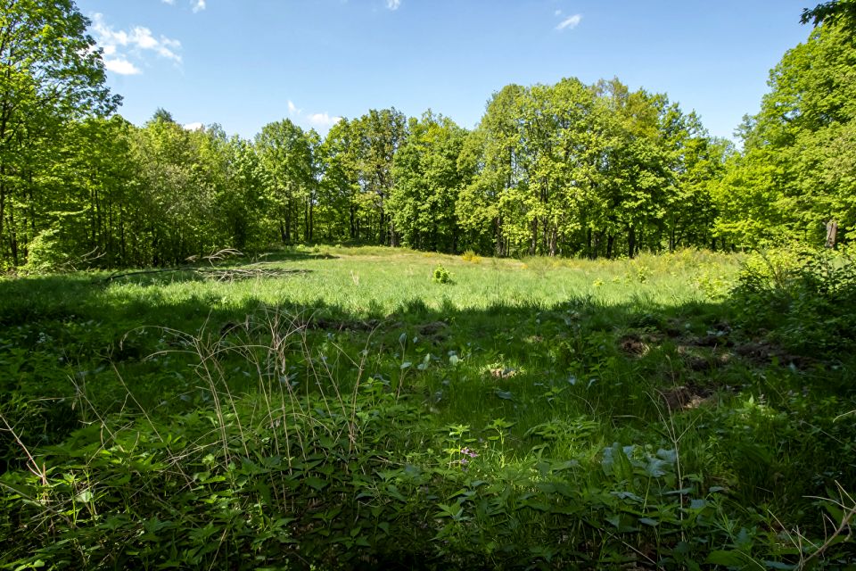 Działka Jarnołtówek