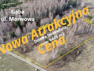 Działka Gąba