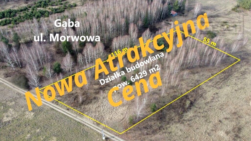 Działka Gąba