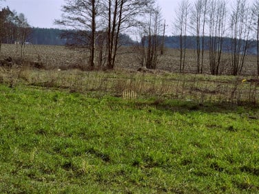 Działka Nekla
