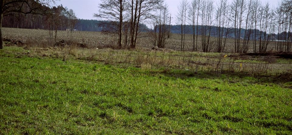 Działka Nekla