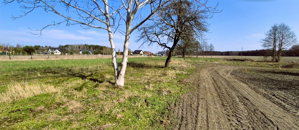 Działka budowlana Nekla