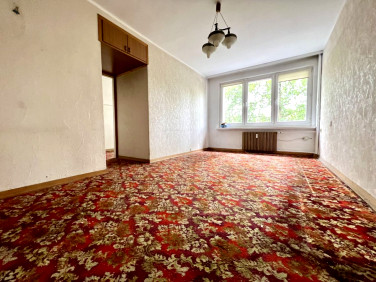 Mieszkanie Katowice sprzedaż