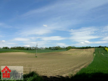 Działka Łapszów