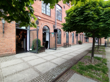 Lokal Żyrardów wynajem