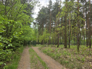 Działka Kępa