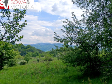 Działka Jedlina-Zdrój