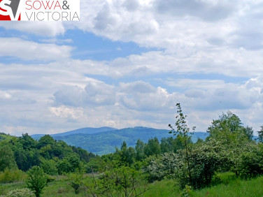 Działka Jedlina-Zdrój