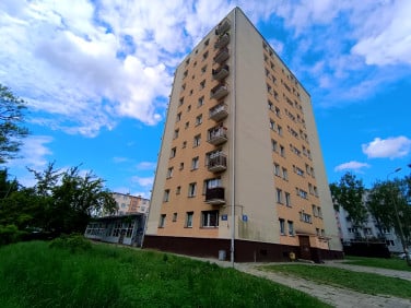 Mieszkanie Kielce