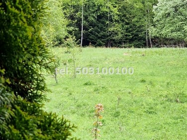 Mieszkanie Krynica-Zdrój