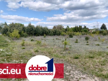 Działka Bożenkowo