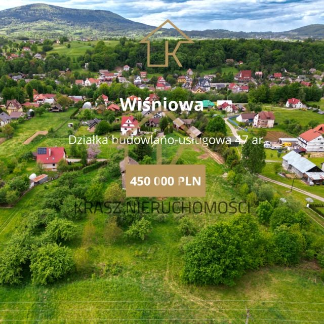 Dom WIŚNIOWA