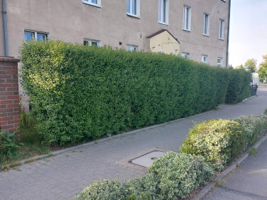 Mieszkanie Wrocław