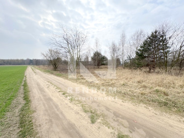 Działka budowlana Siedliska