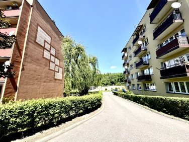 Mieszkanie Rybnik sprzedaż