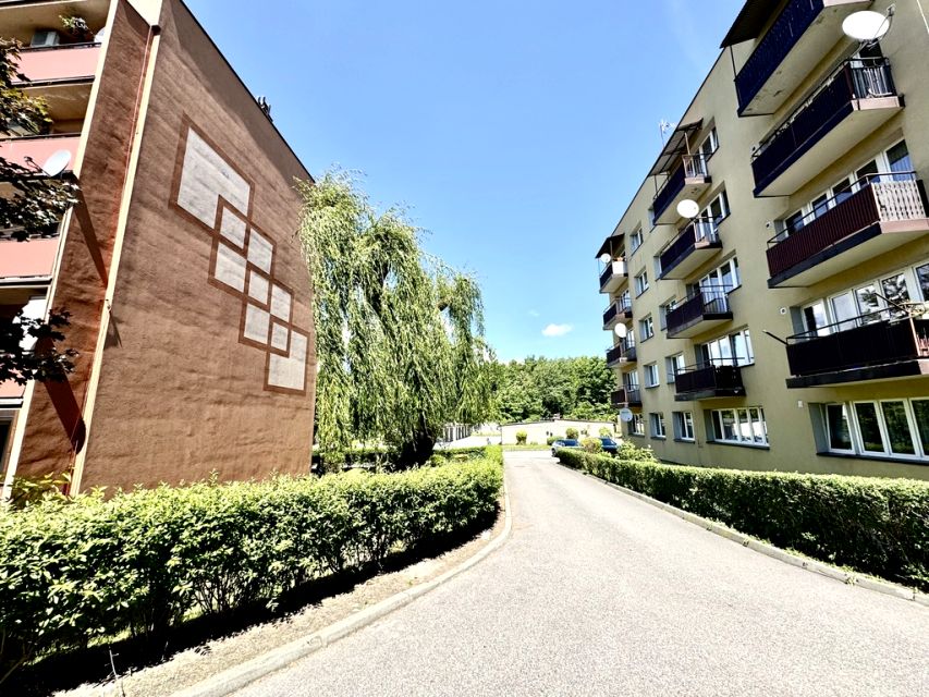 Mieszkanie Rybnik sprzedaż