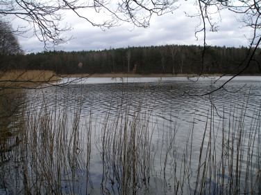 Działka CHŁOPOWO