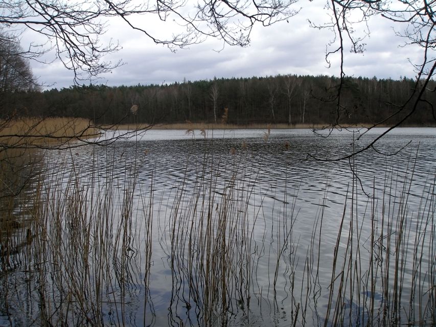 Działka CHŁOPOWO