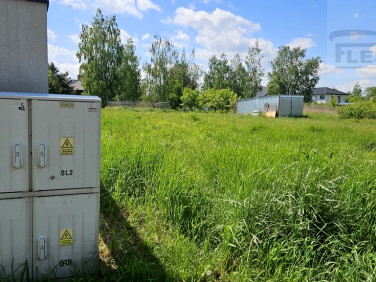 Działka Rusiec